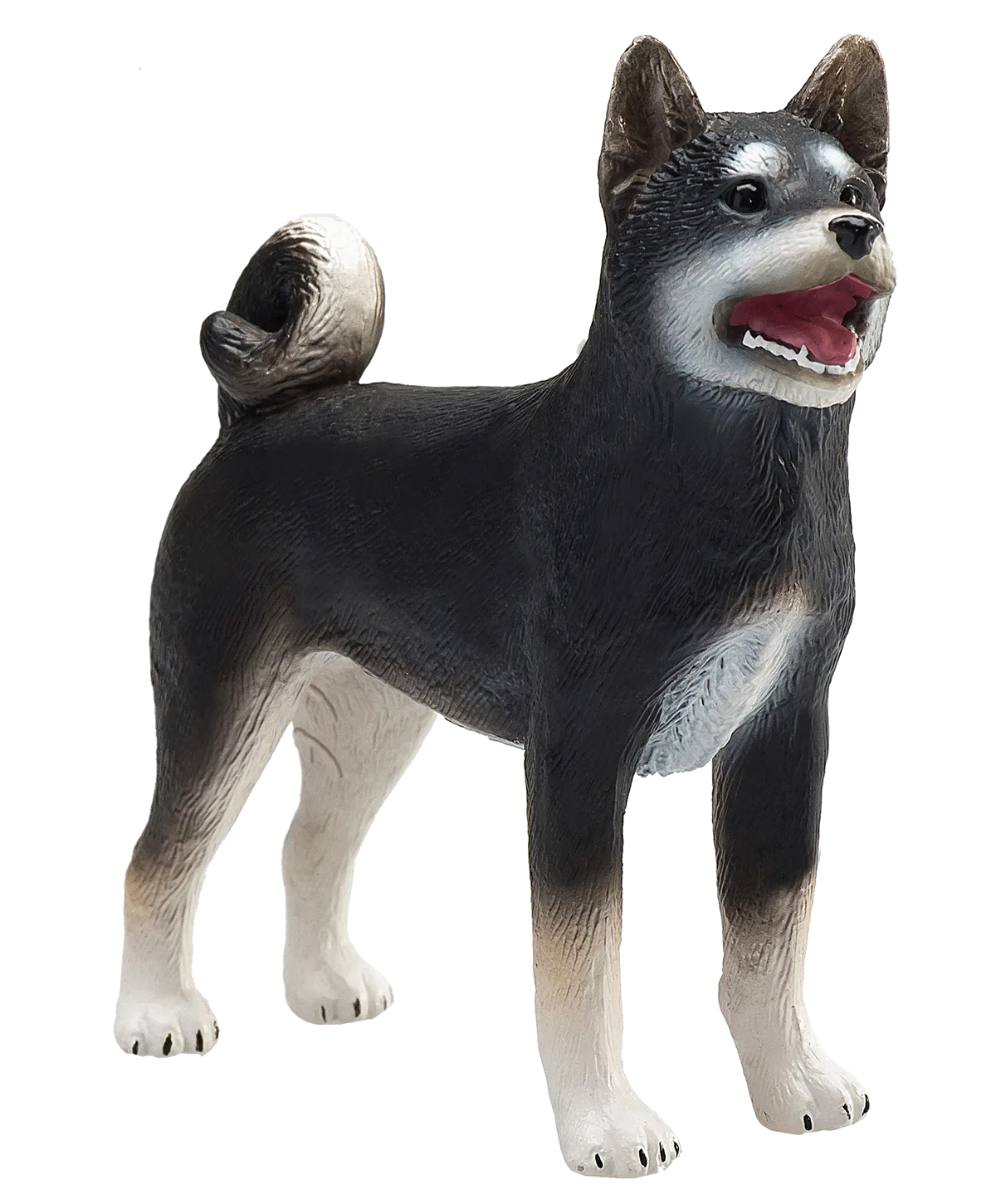 Mojo Shiba Inu Hund, Schwarz - Bild 1
