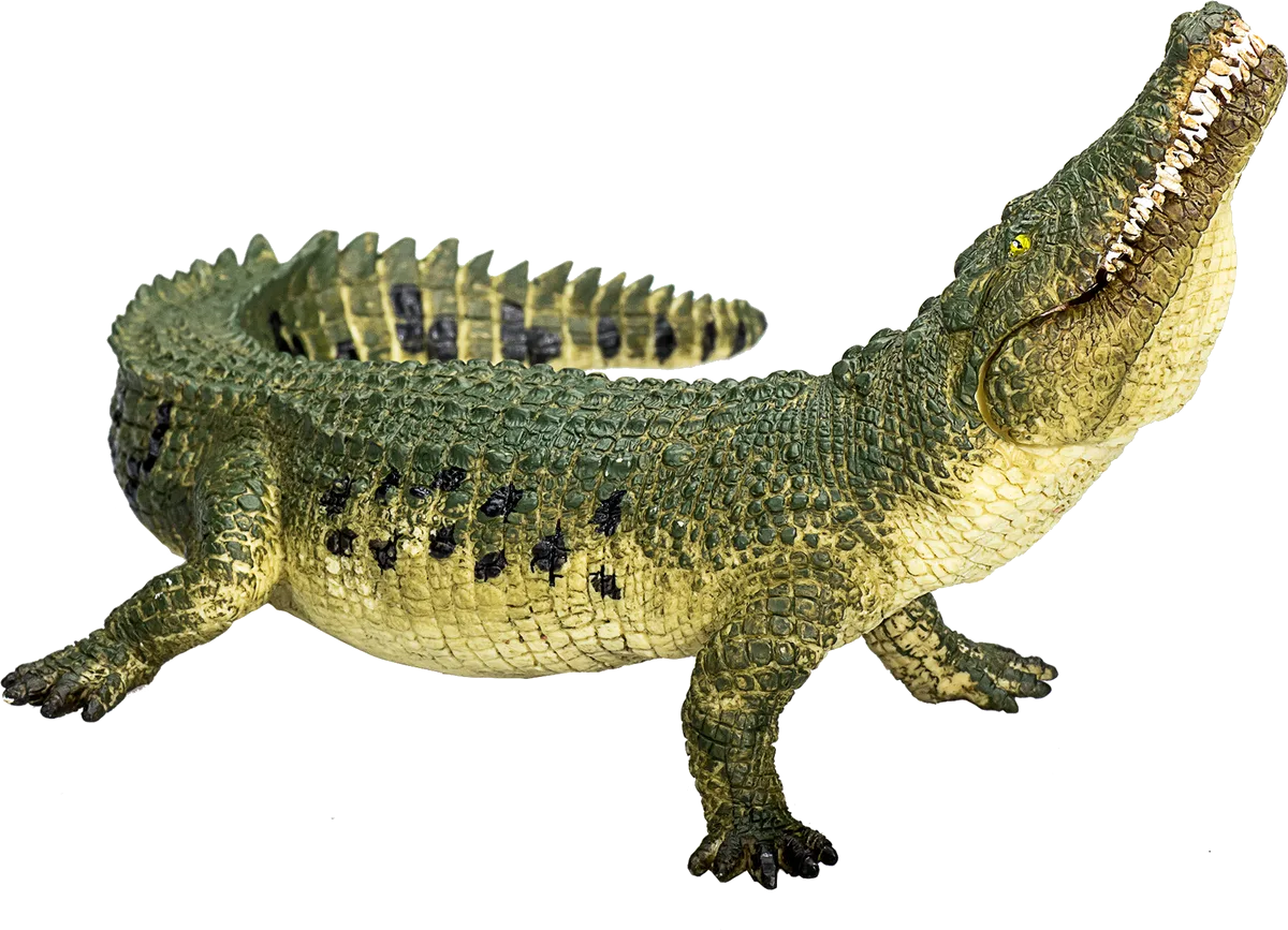 Mojo Krokodil mit Beweglichen Kiefern - Bild 1