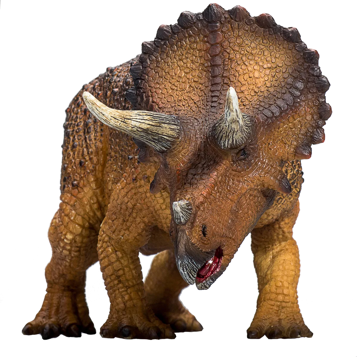 Mojo Triceratops - Bild 1