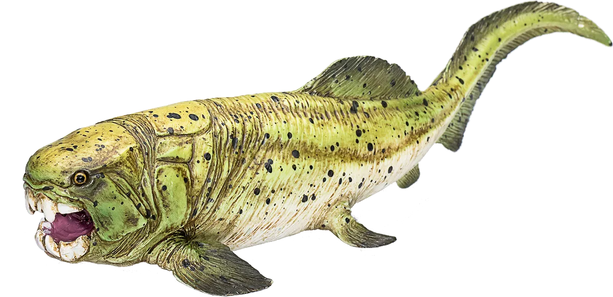 Mojo Dunkleosteus - Bild 1