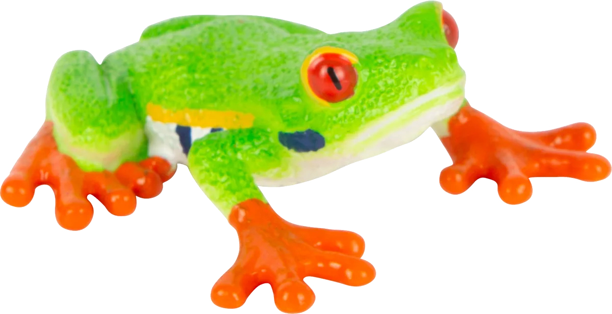 Mojo Rotaugen Laubfrosch - Bild 1