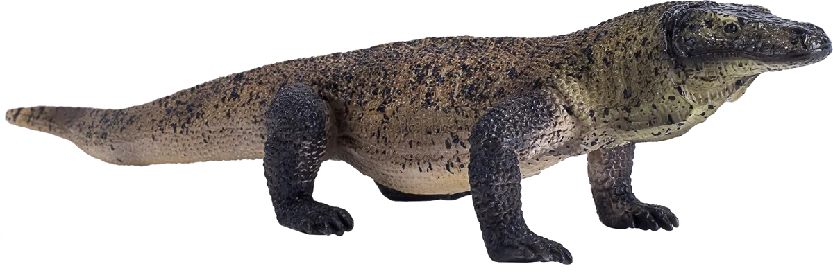 Mojo Komodowaran - Bild 1
