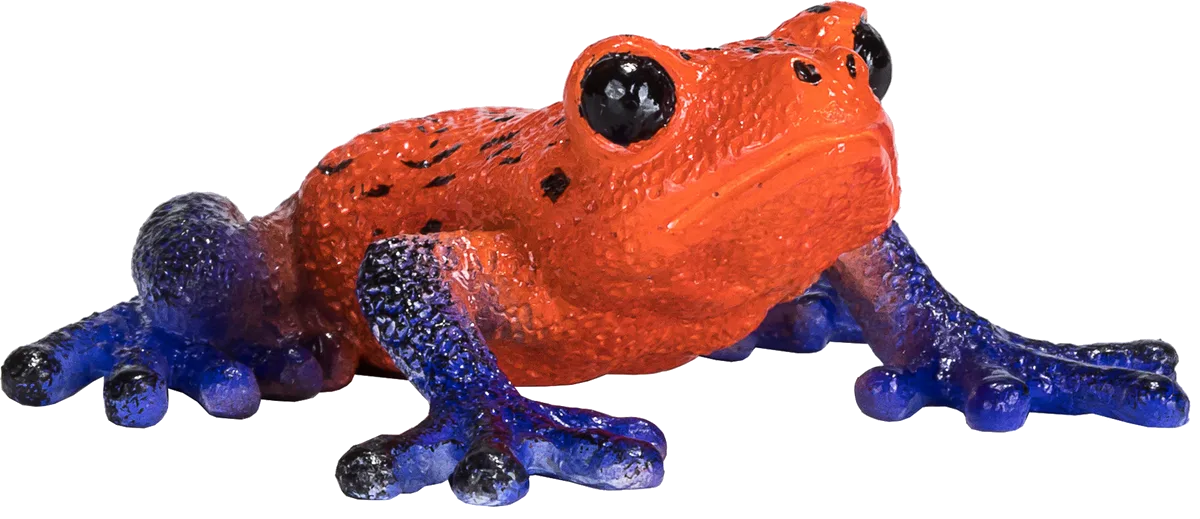 Mojo Giftige dart Frosch - Bild 1