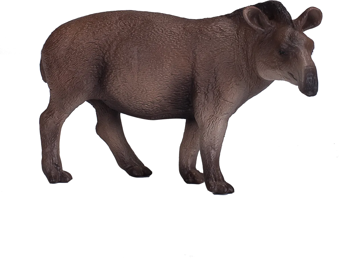 Mojo Brasilianischer Tapir - Bild 1