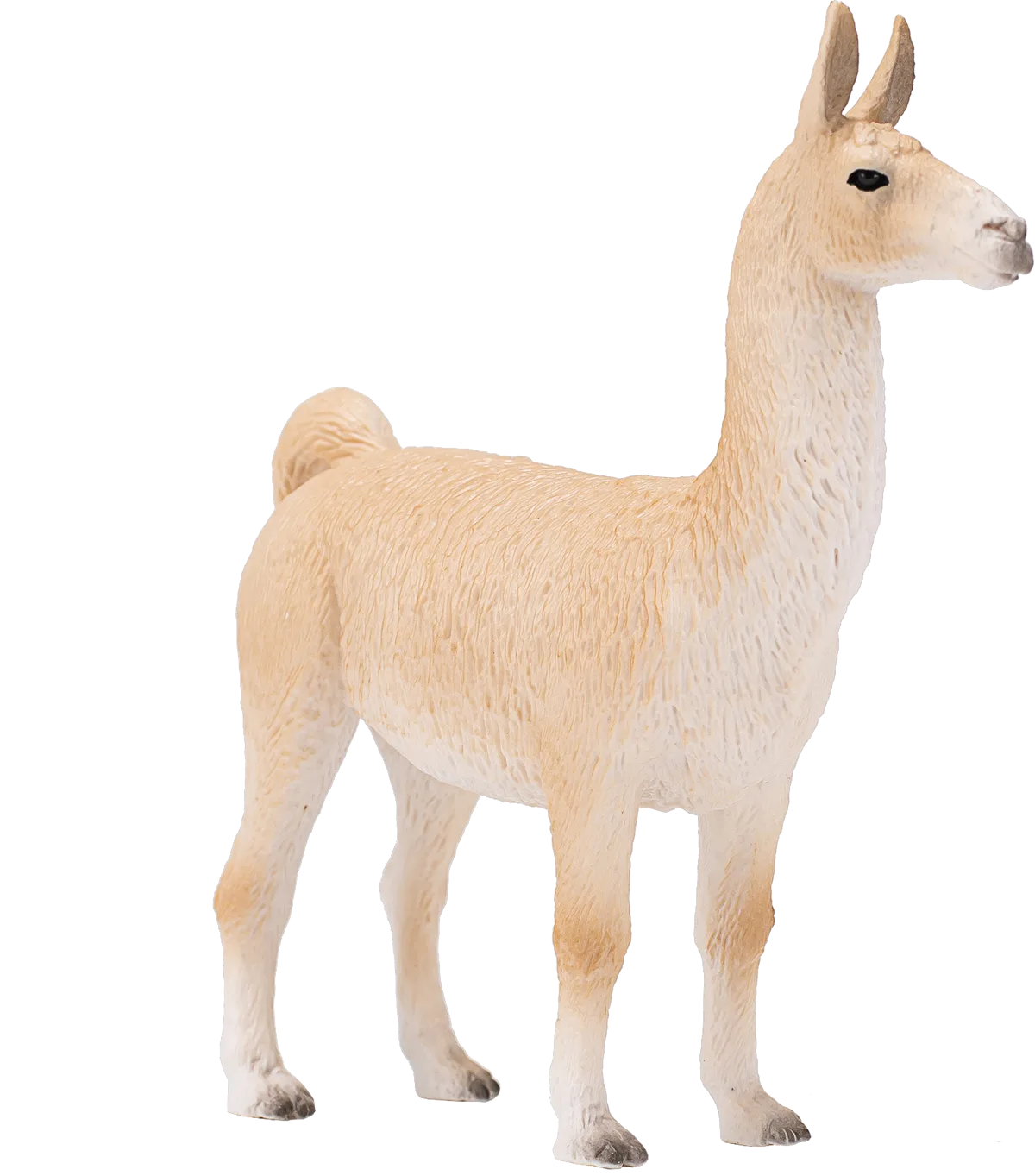 Mojo Lama - Bild 1