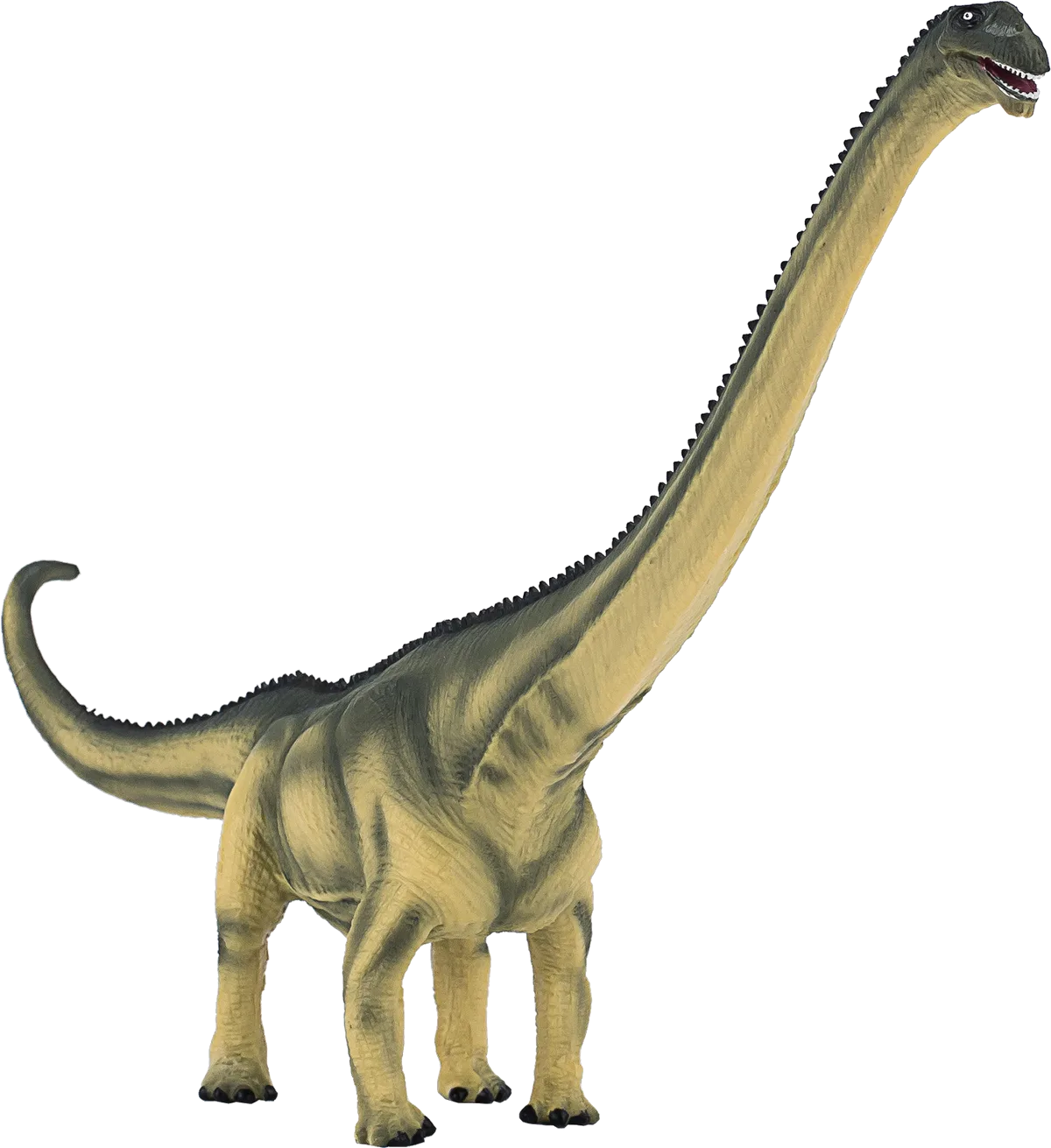 Mojo Mamenchisaurus - Bild 1