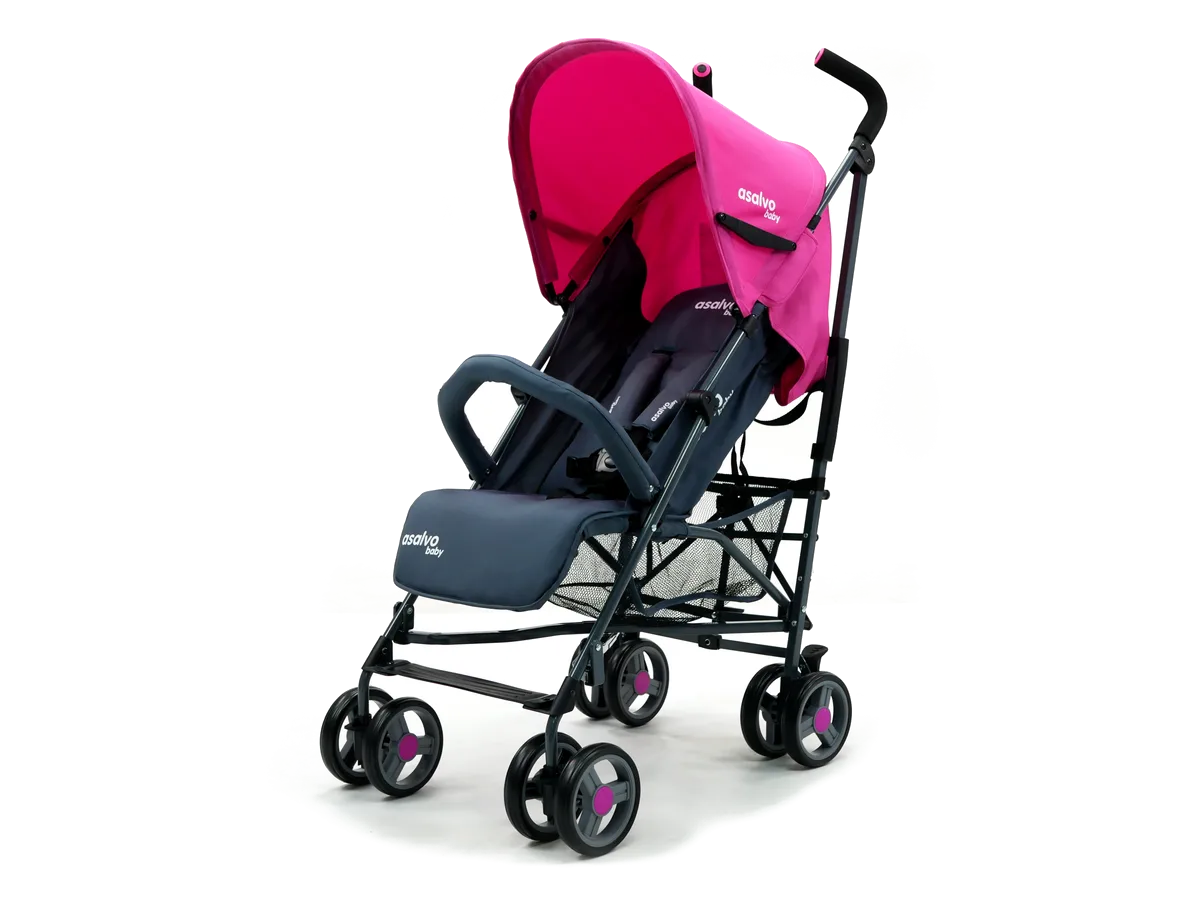 Asalvo Buggy Trotter Plus, Rosa - Bild 1