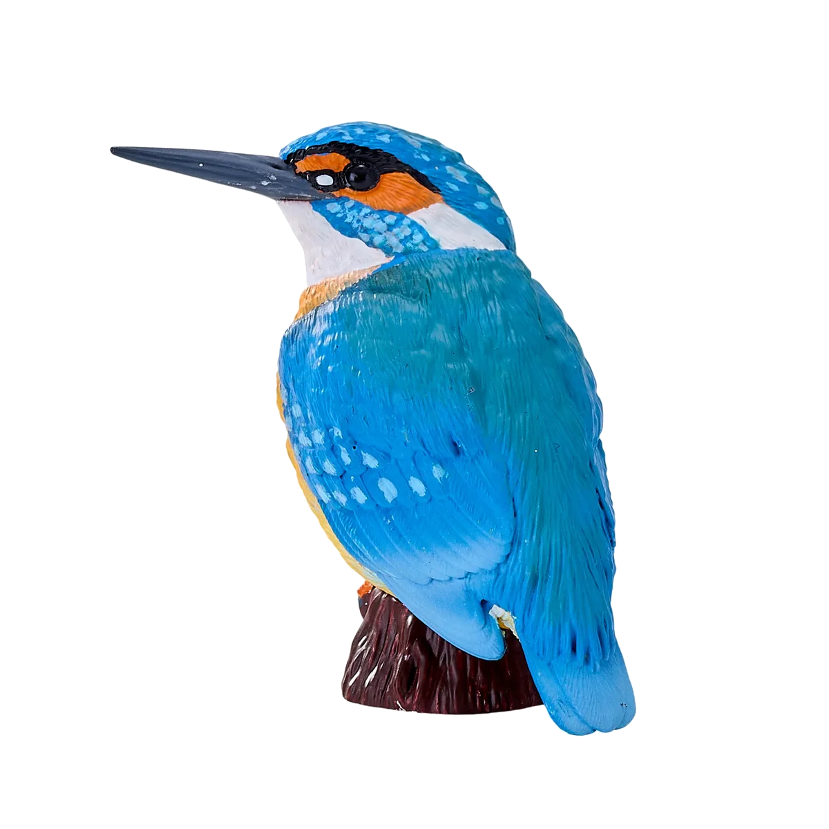 Mojo Eisvogel - Bild 1