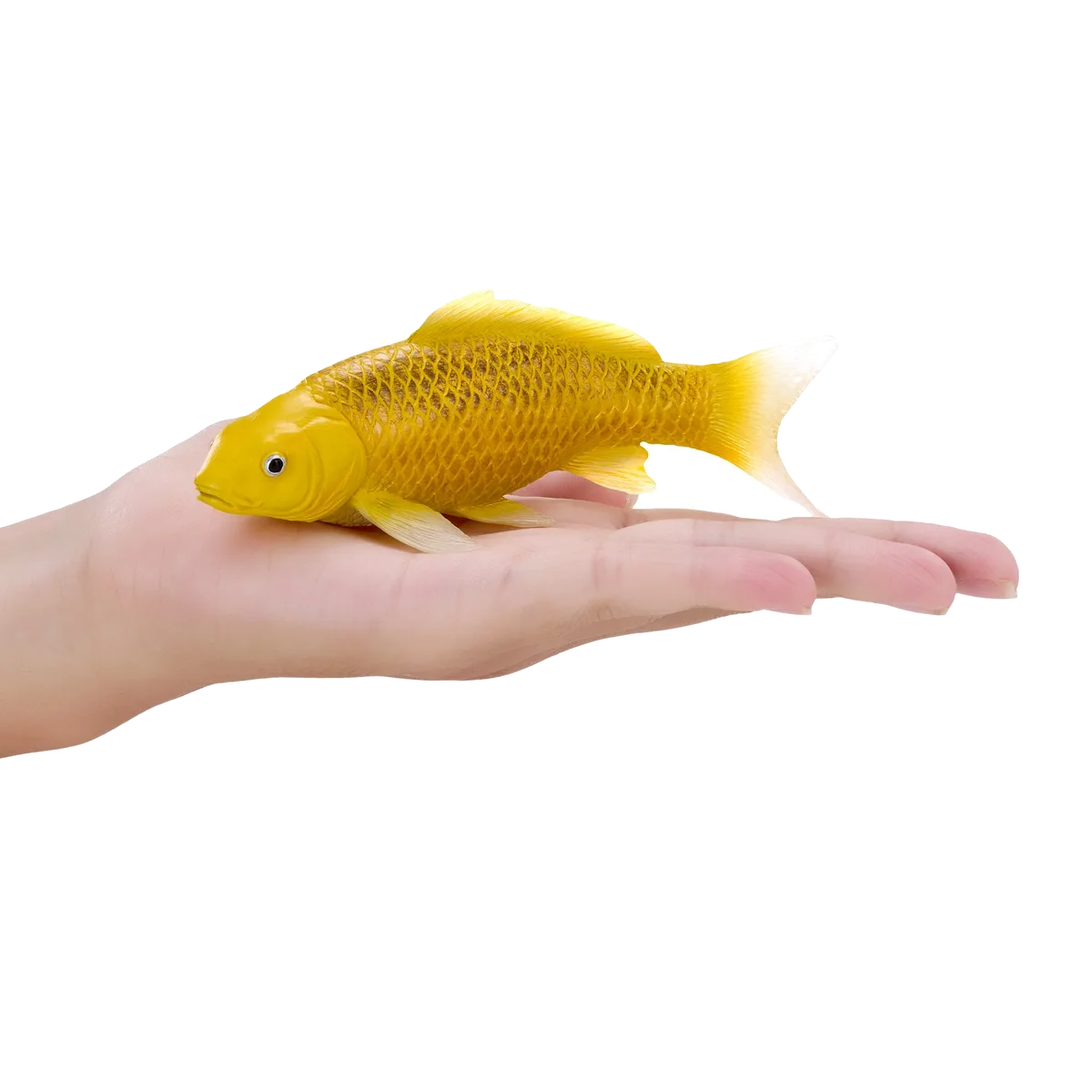 Mojo Koi Karpfen, Gold - Bild 1