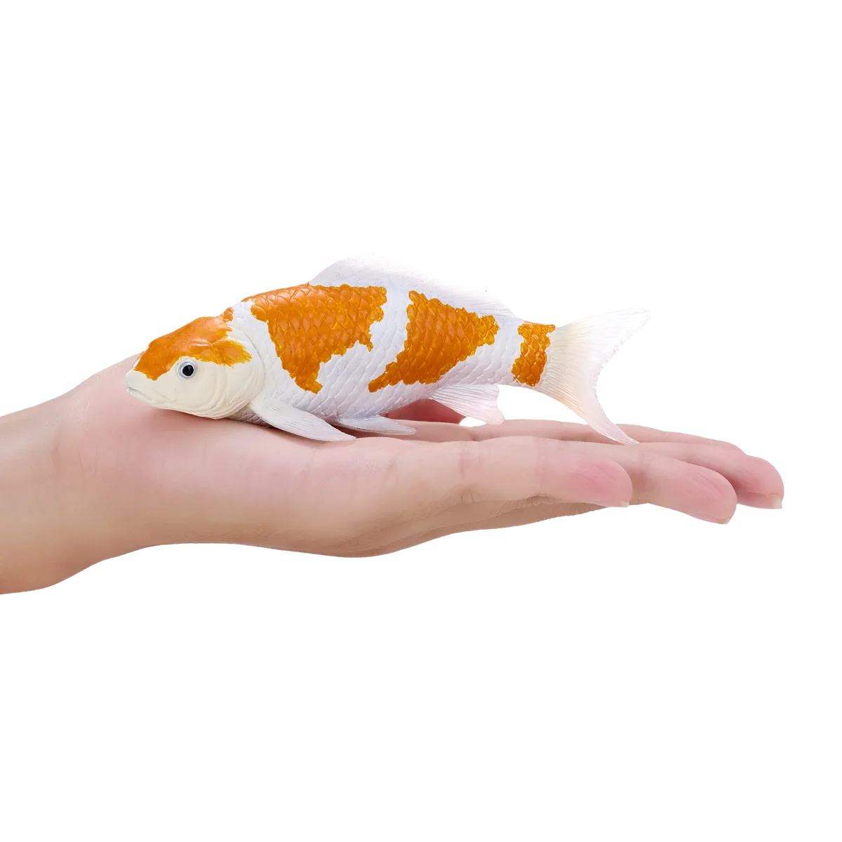 Mojo Koi Karpfen, Gold/weiß - Bild 1