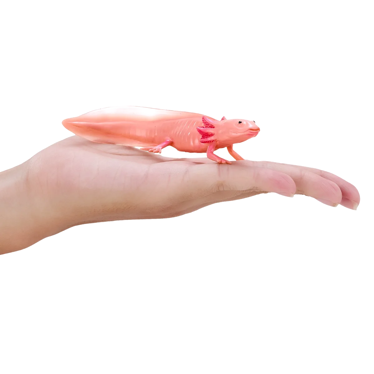 Mojo Axolotl Schwanzkröte - Bild 1