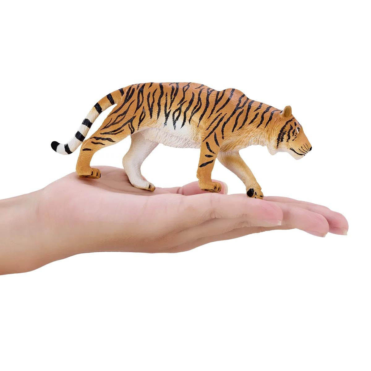 Mojo Tiger auf der Jagd - Bild 1