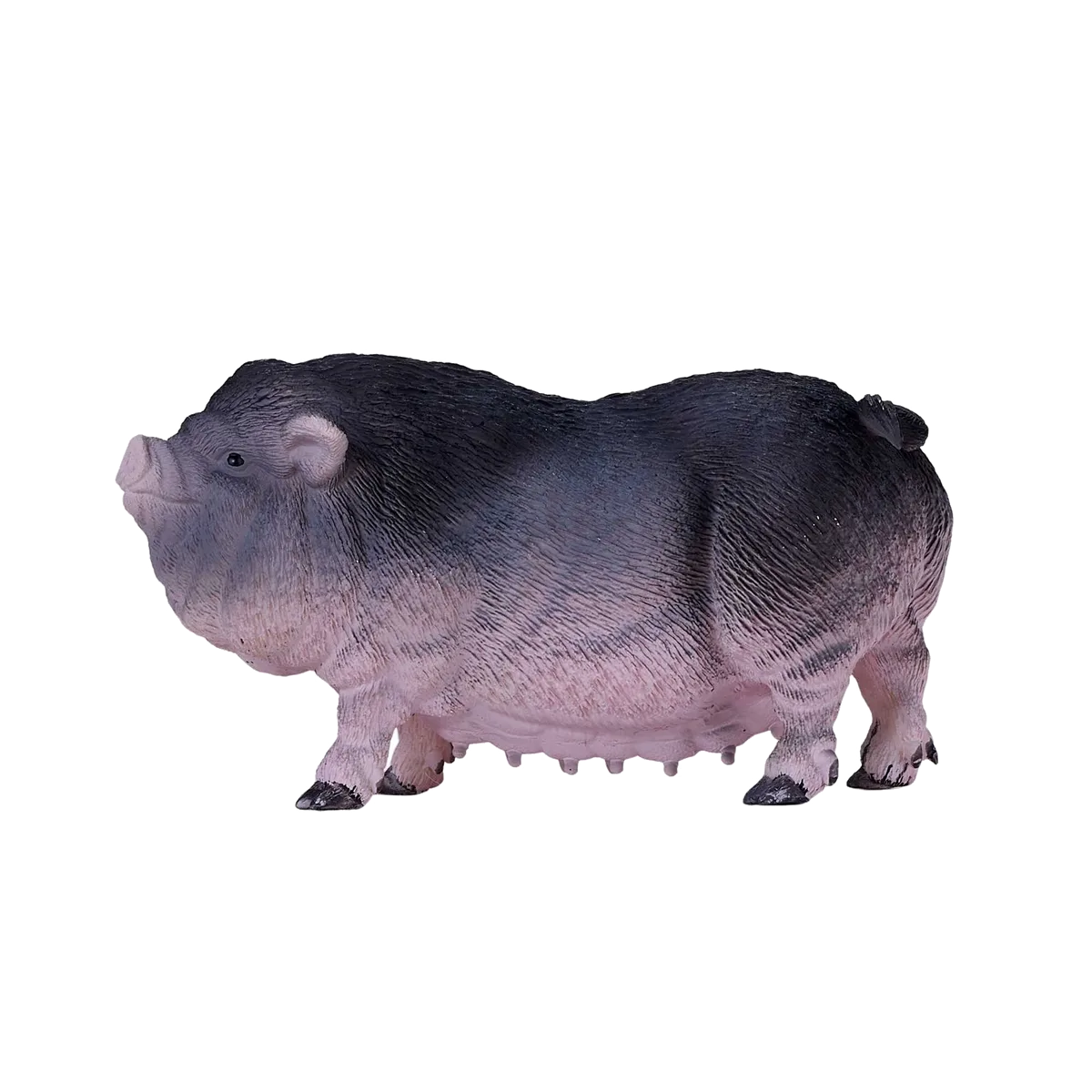 Mojo Gürtelschwein - Bild 1