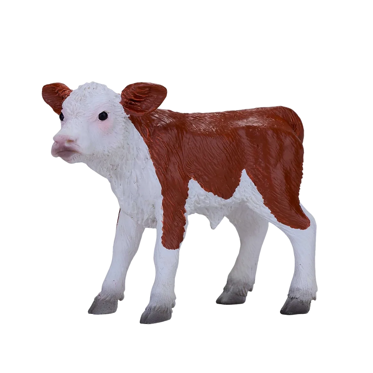 Mojo Hereford Kalb - Bild 1