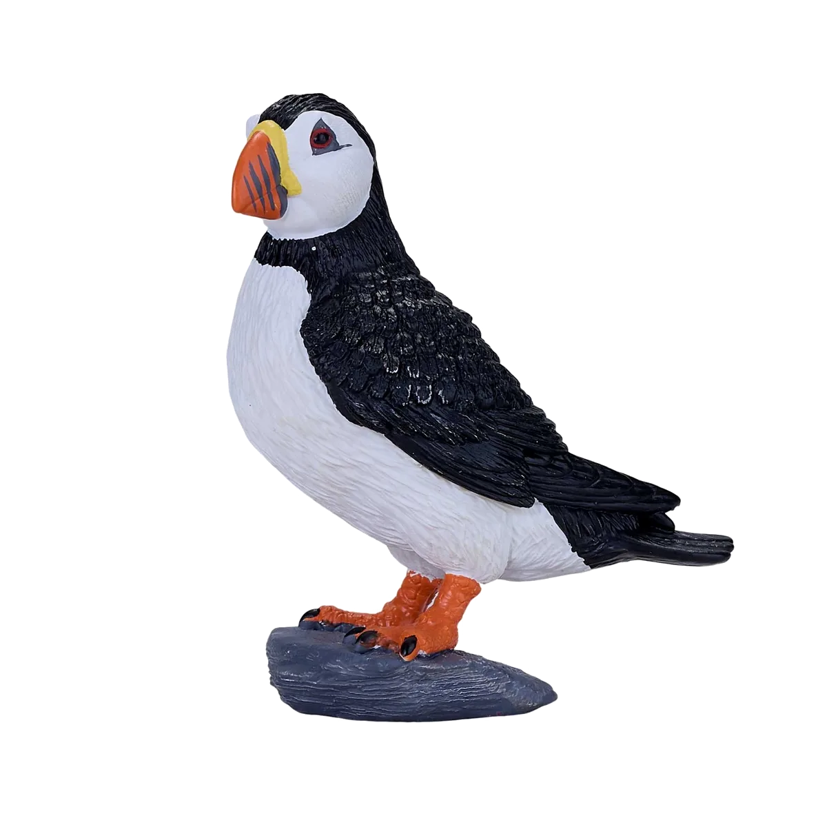 Mojo Möwe - Bild 1