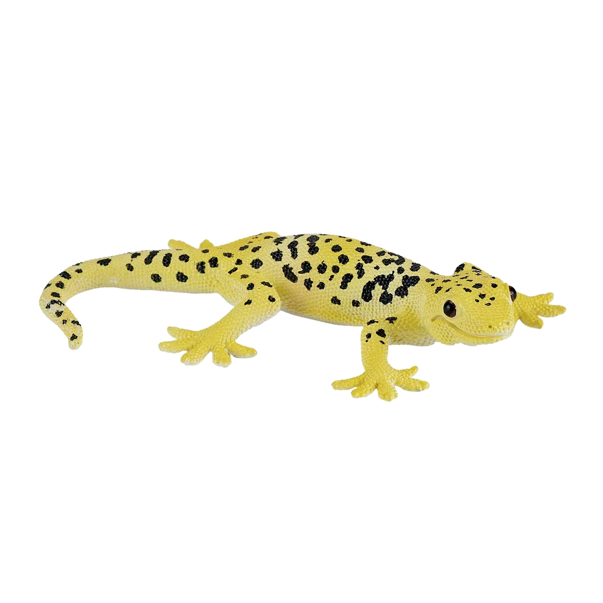 Mojo Leopardengecko - Bild 1