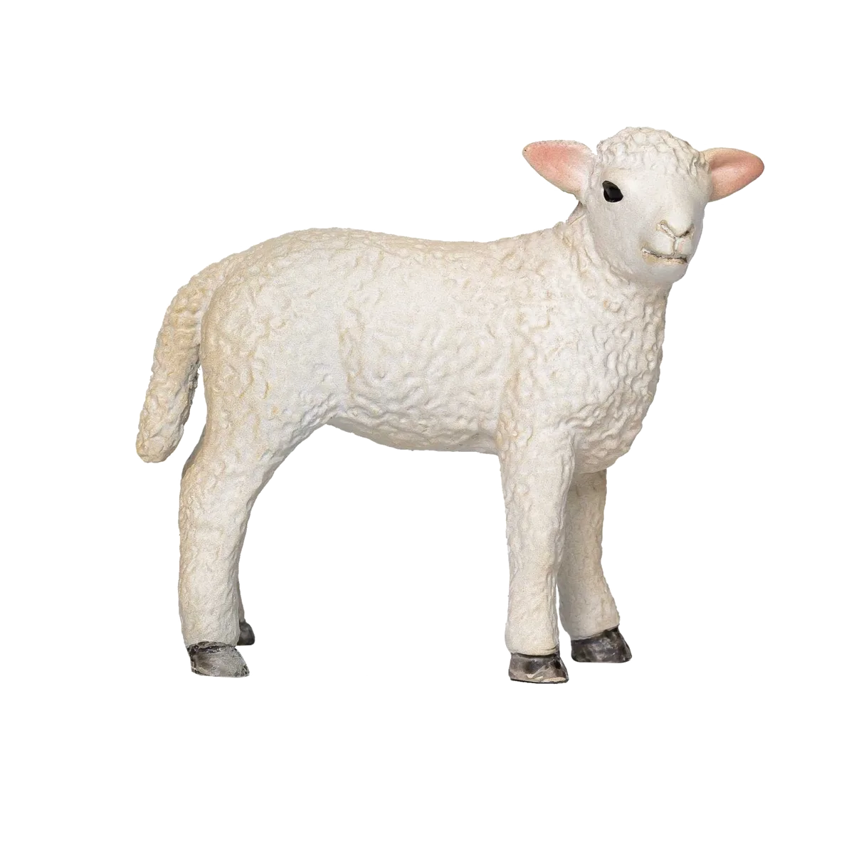 Mojo Romney-Lamm, stehend - Bild 1