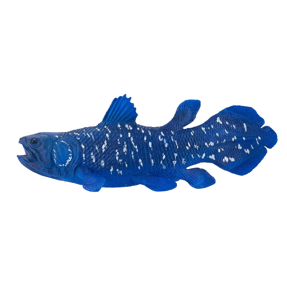 Mojo Coelacanth - Bild 1