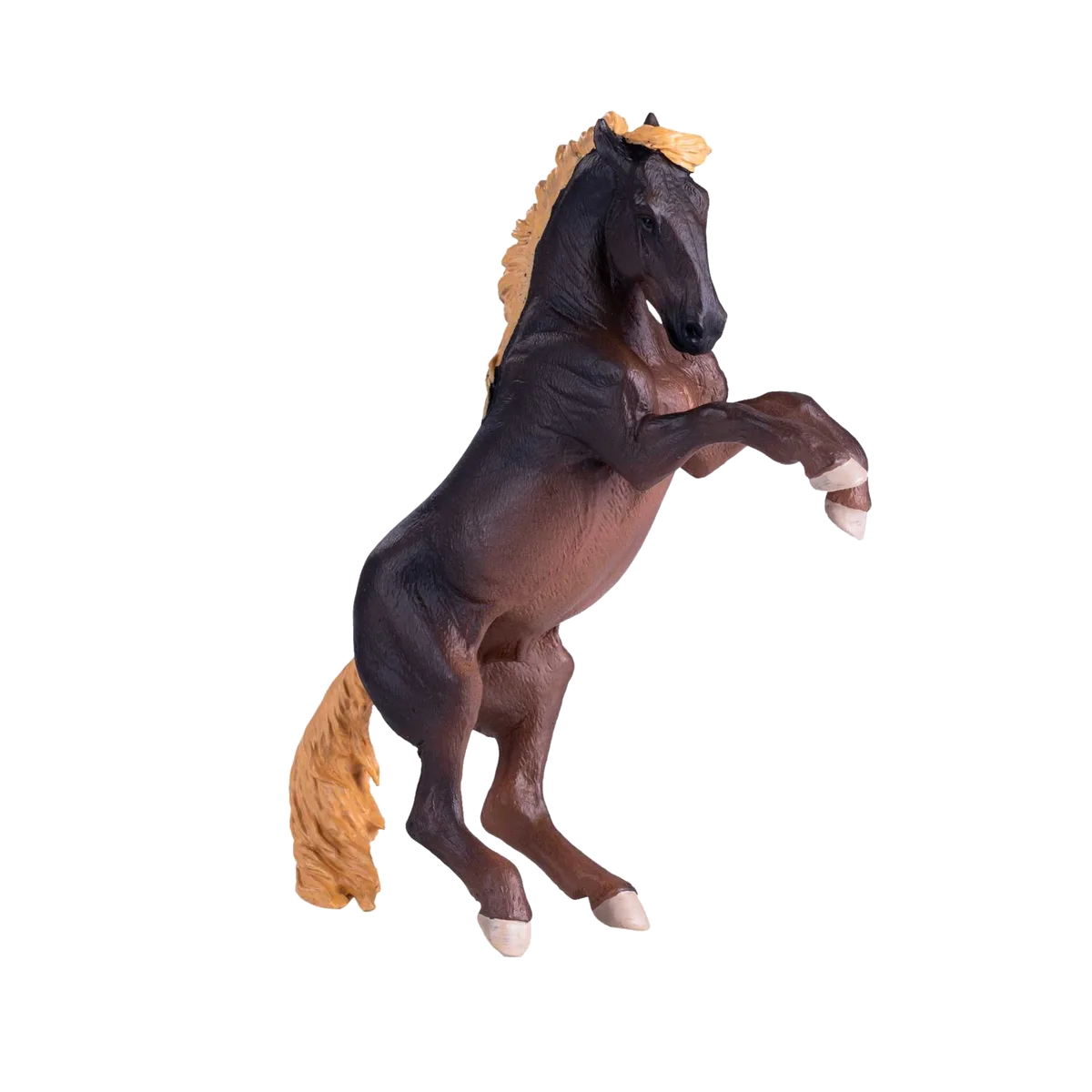 Mojo Brumby Stallion - Bild 1