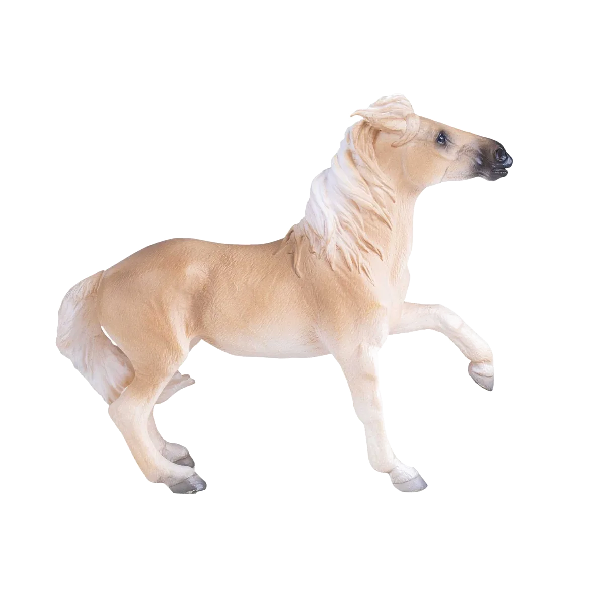 Mojo Brumby Mare - Bild 1