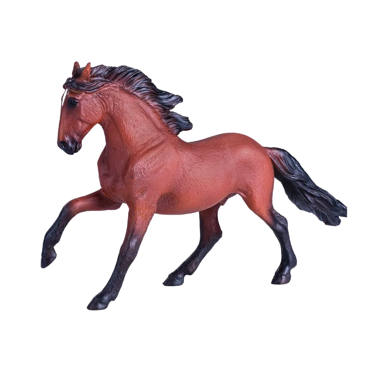 Mojo Lusitano - Bild 1