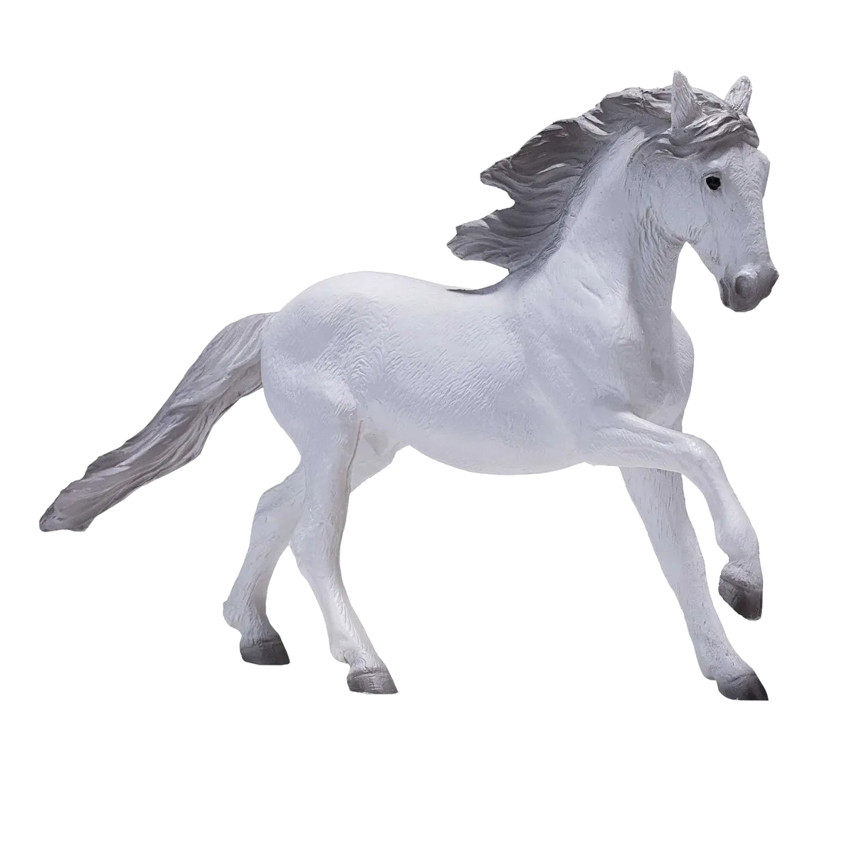 Mojo Lusitano - Bild 1