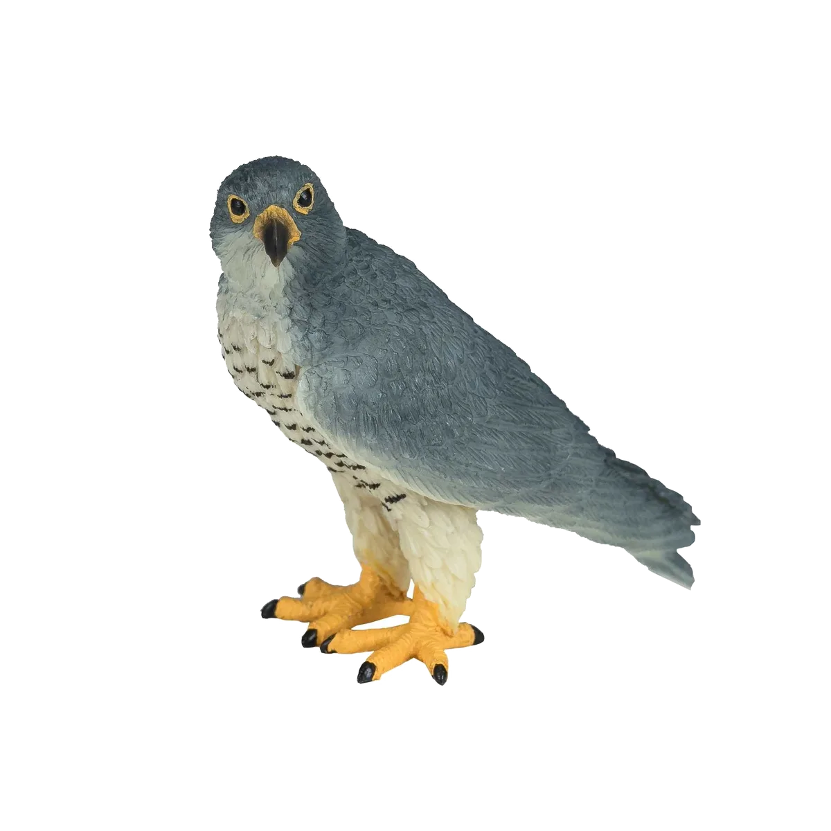 Mojo Peregrine Falcon - Bild 1