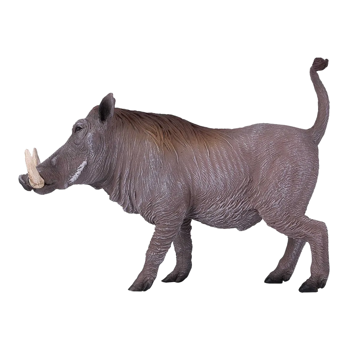 Mojo Warthog - Bild 1