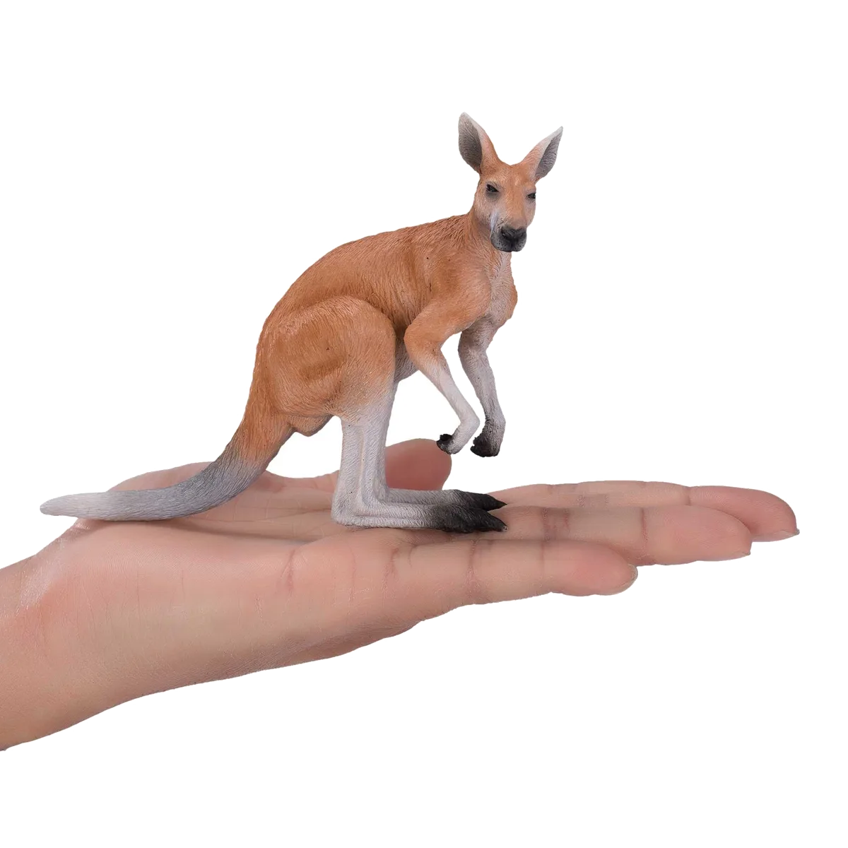 Mojo Kangaroo - Bild 1